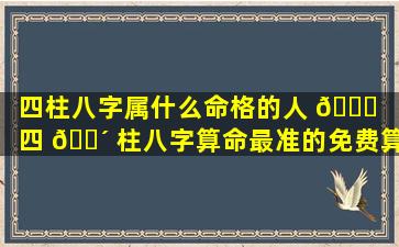 四柱八字属什么命格的人 🍀 （四 🐴 柱八字算命最准的免费算命）